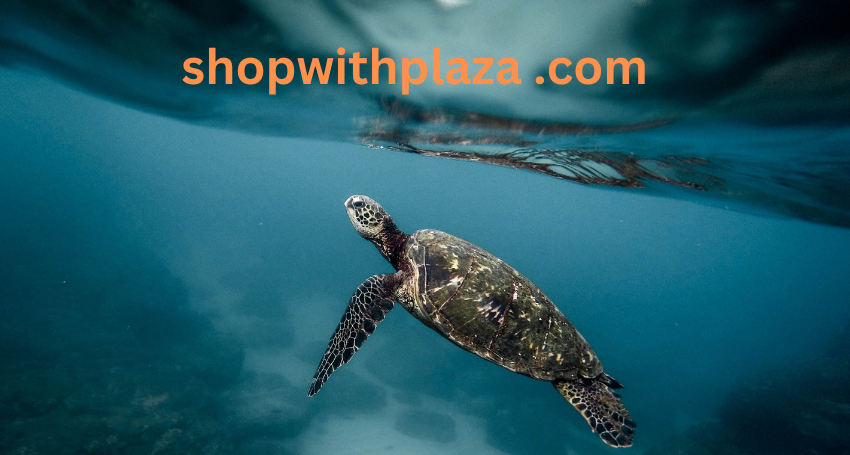 shopwithplaza .com